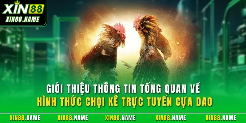 Giới thiệu thông tin tổng quan về hình thức chọi kê trực tuyến cựa dao